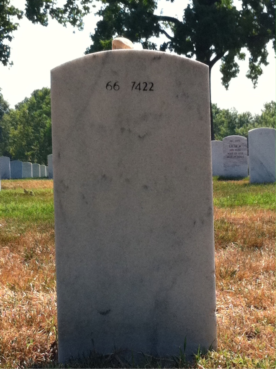 Back of headstone — William Elliott Lucas