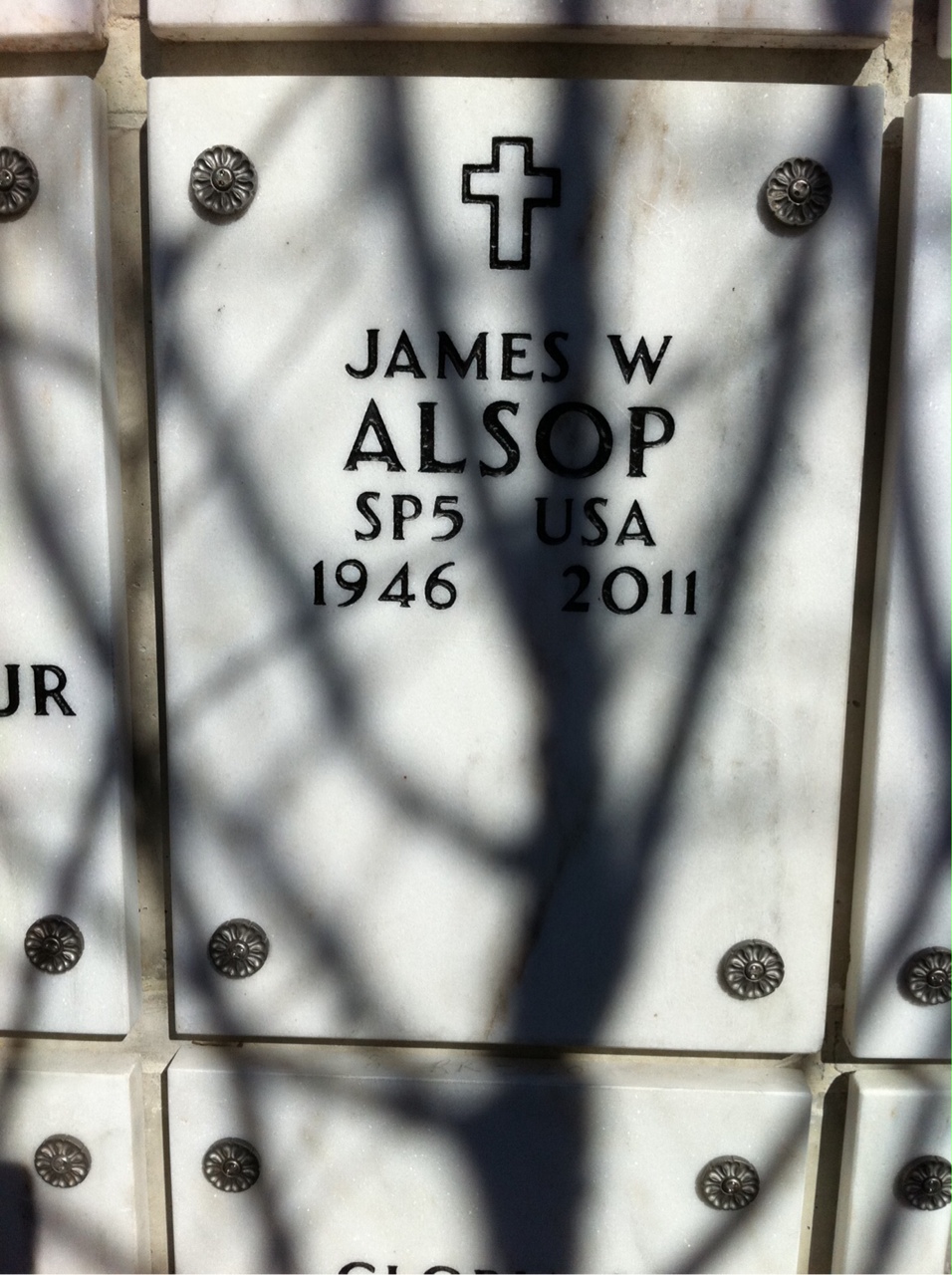 James Alsop