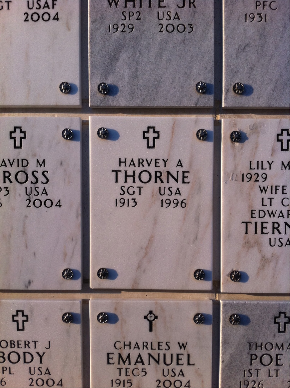Harvey Thorne