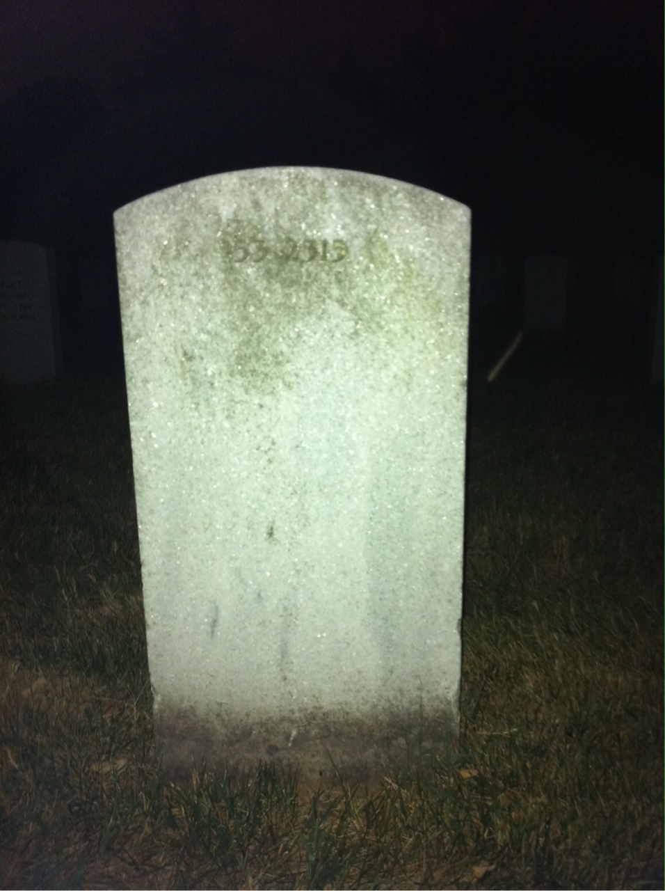 Back of headstone — Wayne Baggett