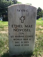 Michael J. Novosel