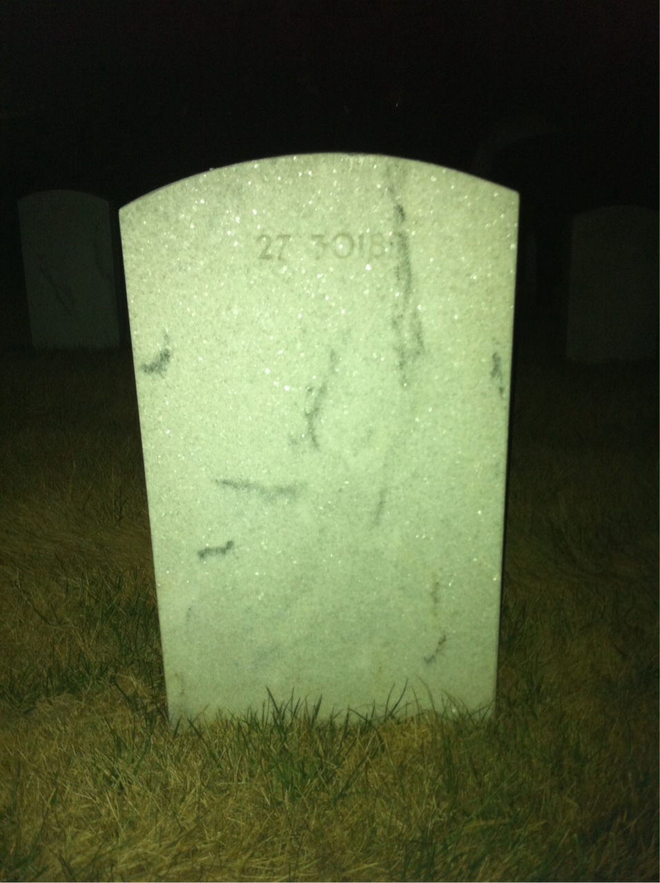 Back of headstone — Not Captured Bailey