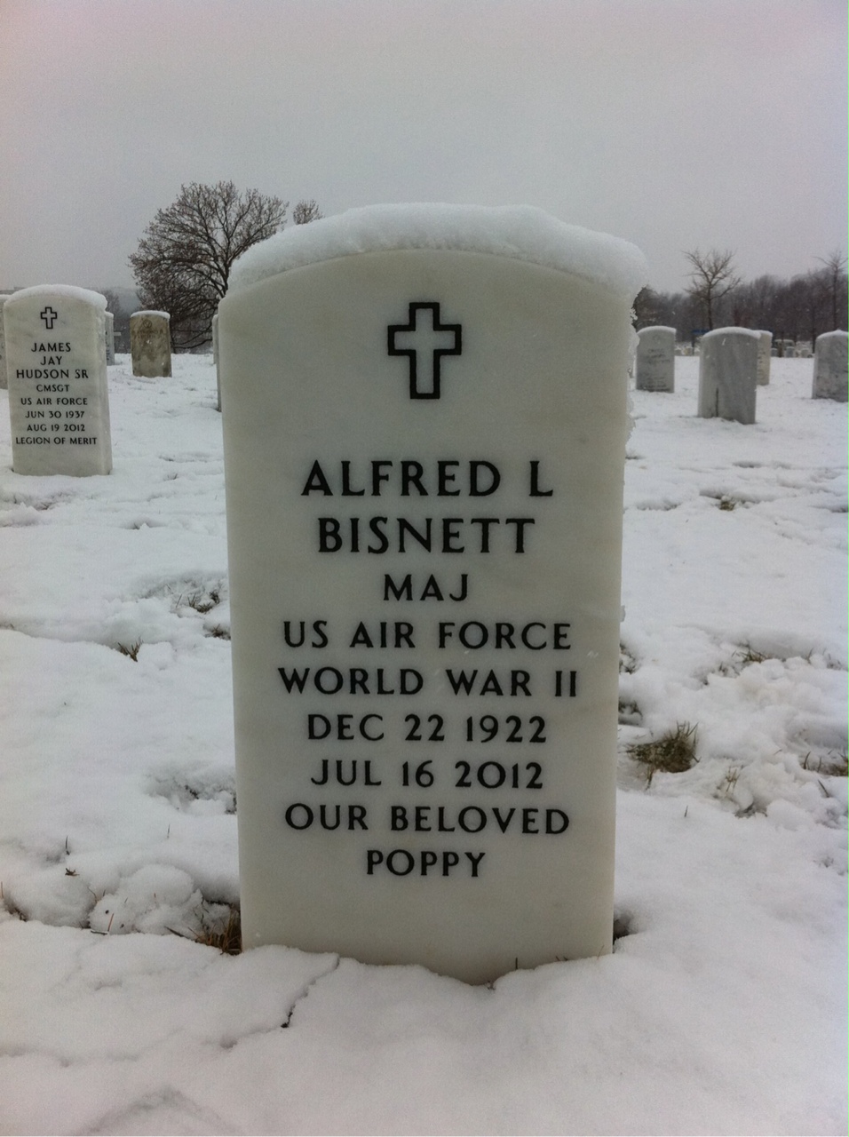 Alfred Bisnett