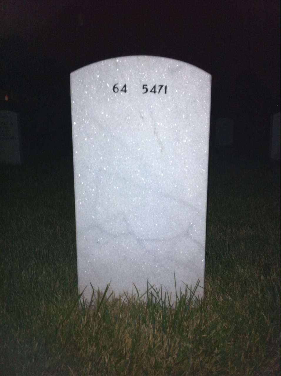 Back of headstone — Albert Mcnamara