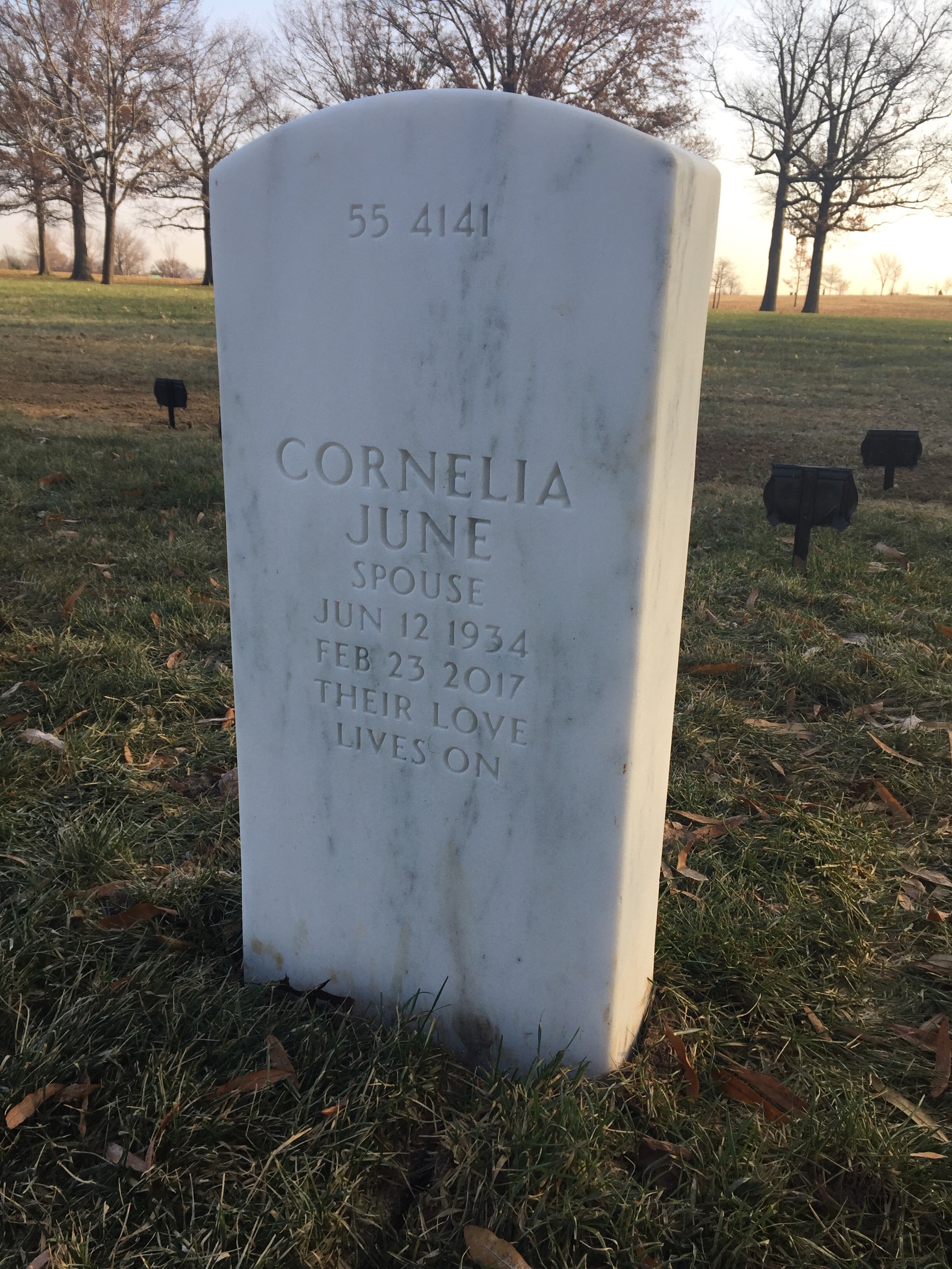 Back of headstone — Robert Miller