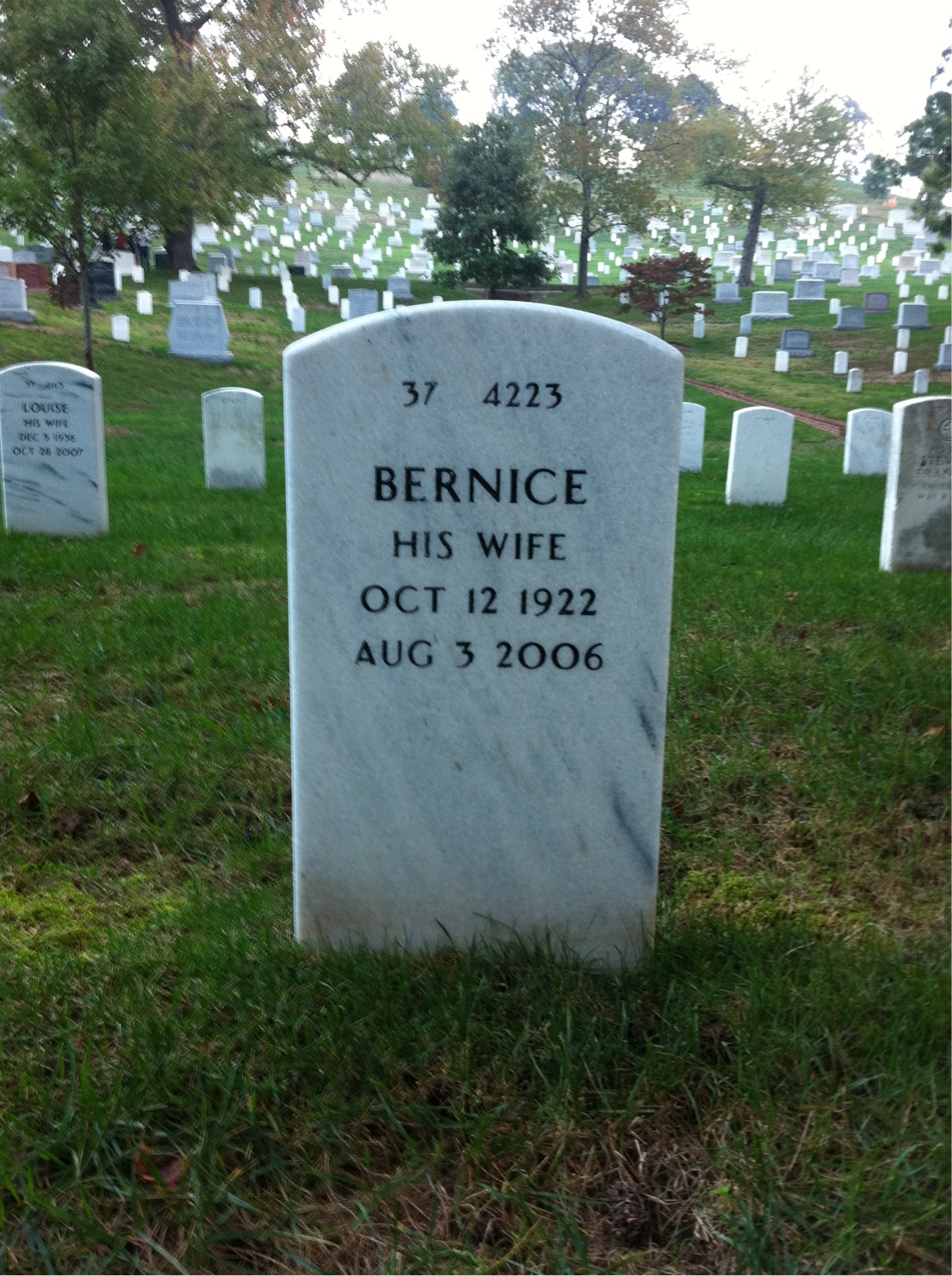 Back of headstone — Wilbur Pinkard