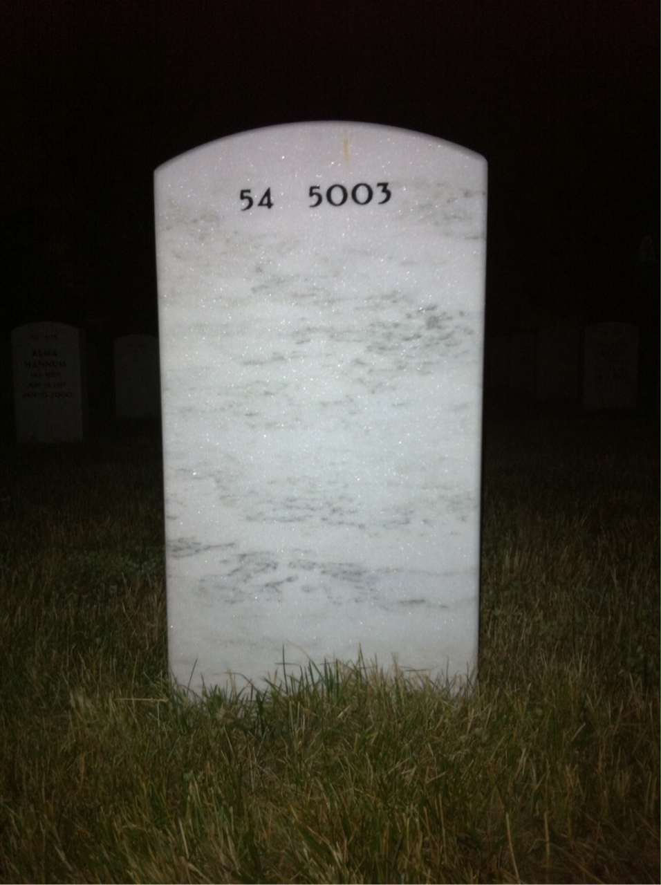 Back of headstone — Francis Ferguson