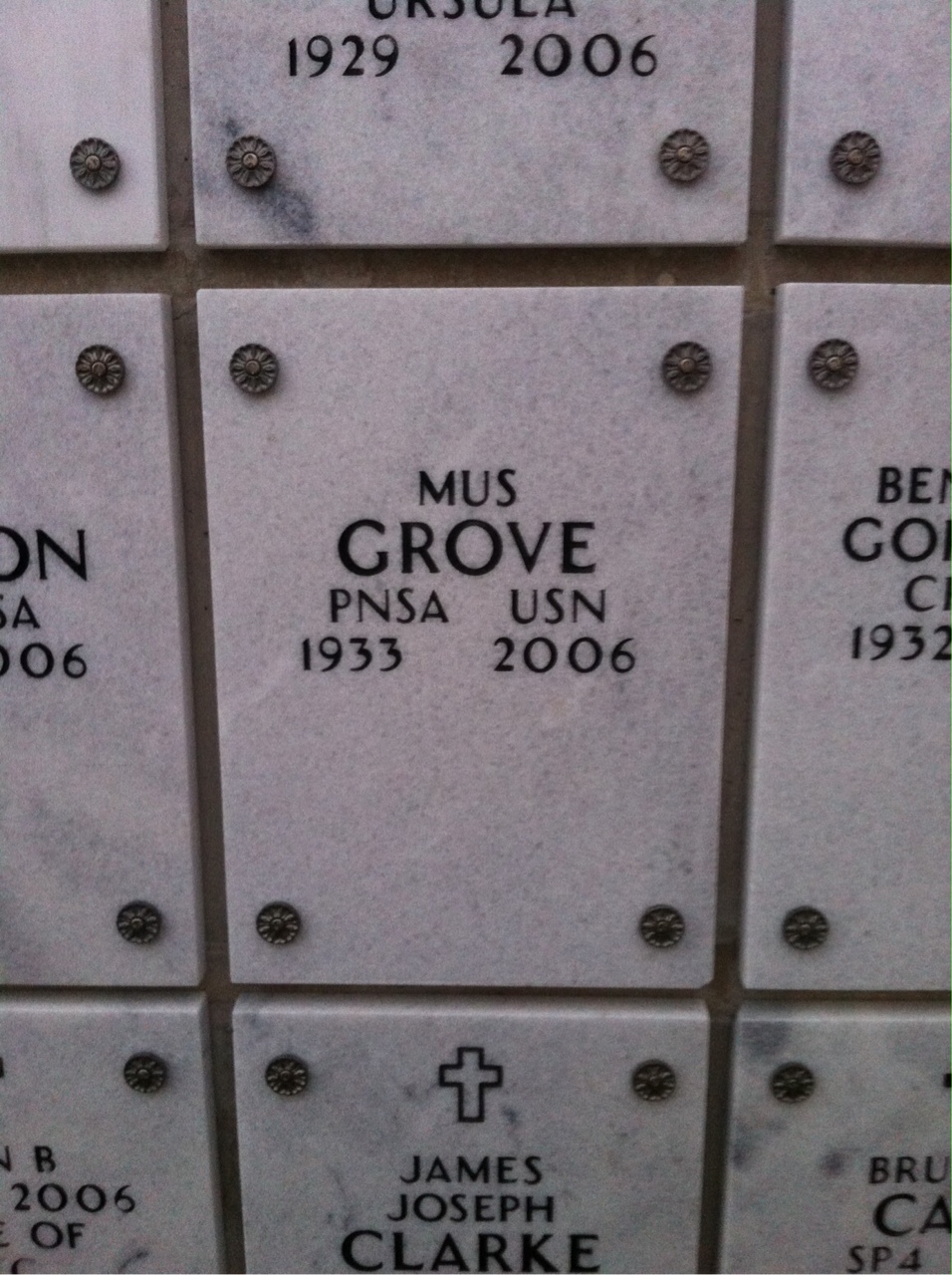 Mus Grove