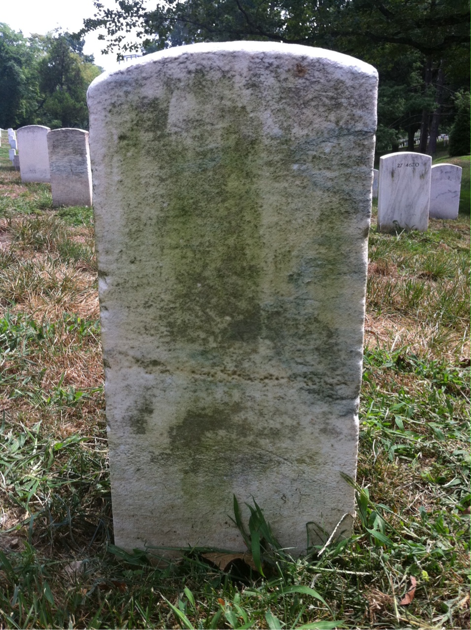 Back of headstone — S Collins