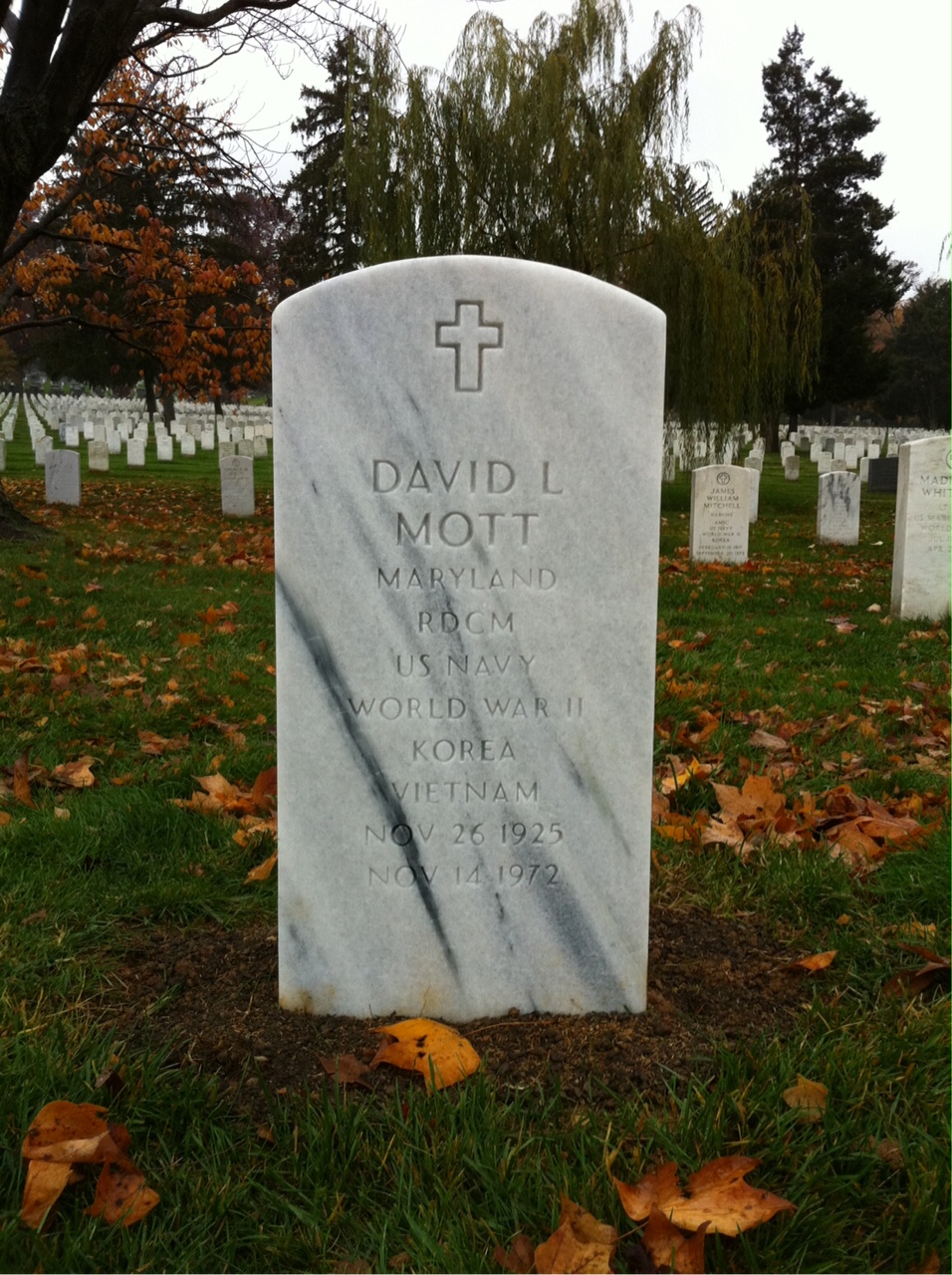 David Mott