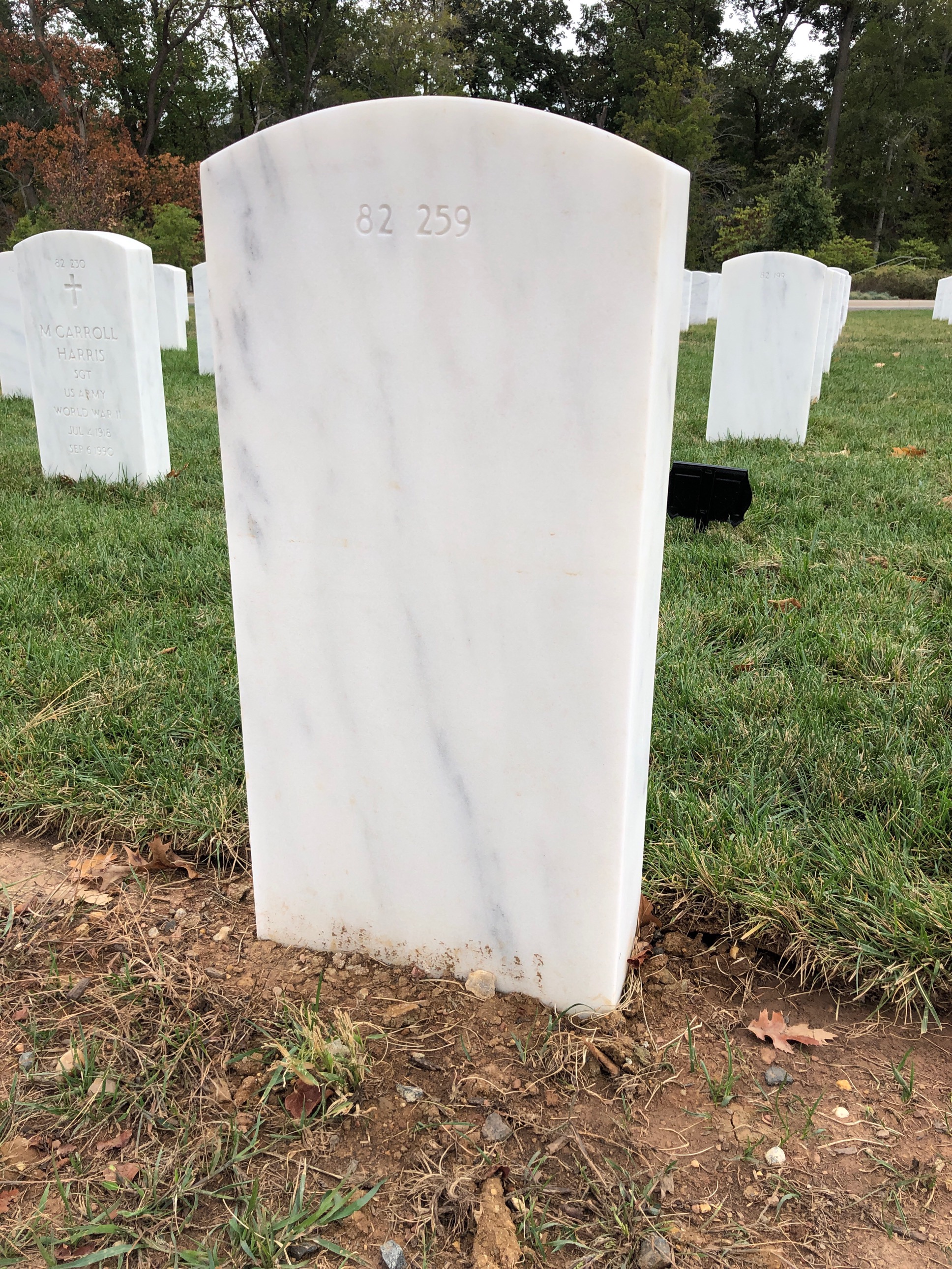 Back of headstone — Thomas H Johnson