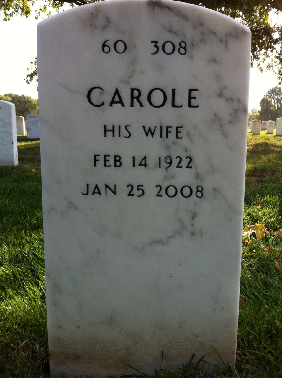 Back of headstone — Dennis Casey