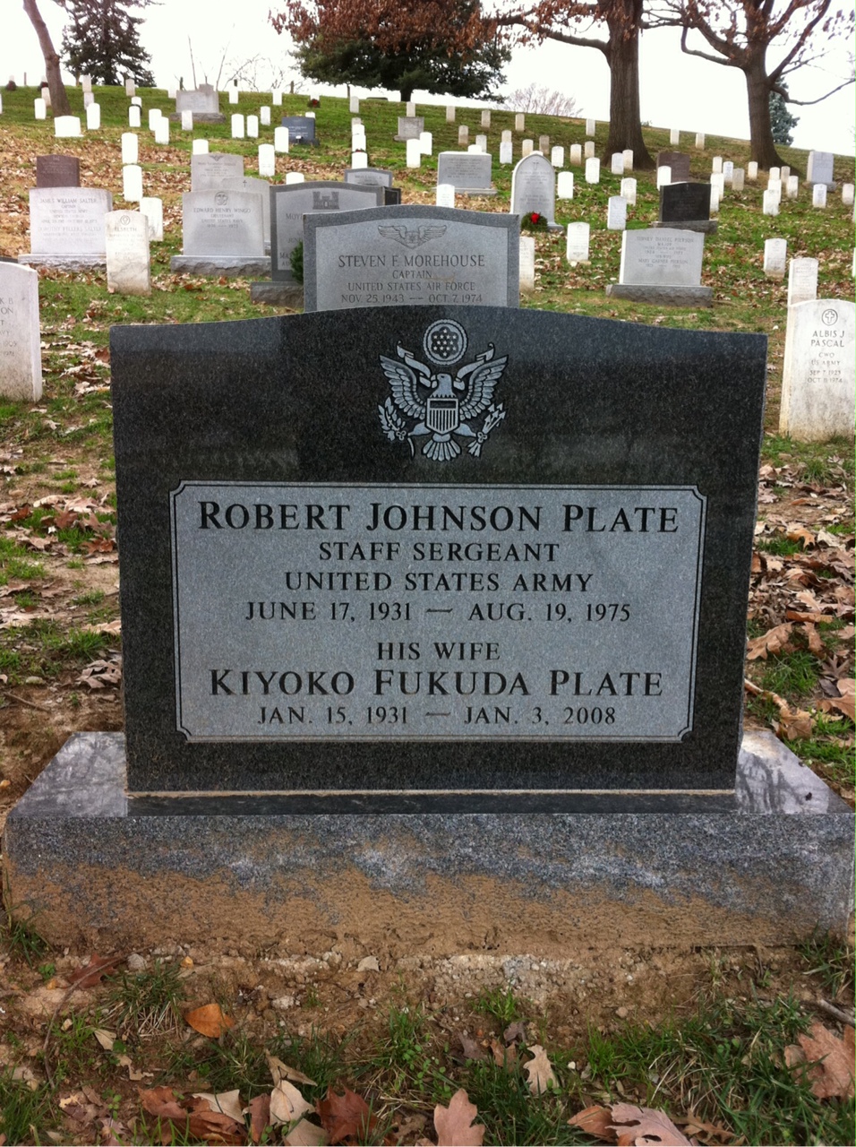 Robert Plate
