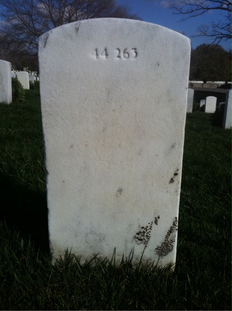 Back of headstone — Delia Murchison