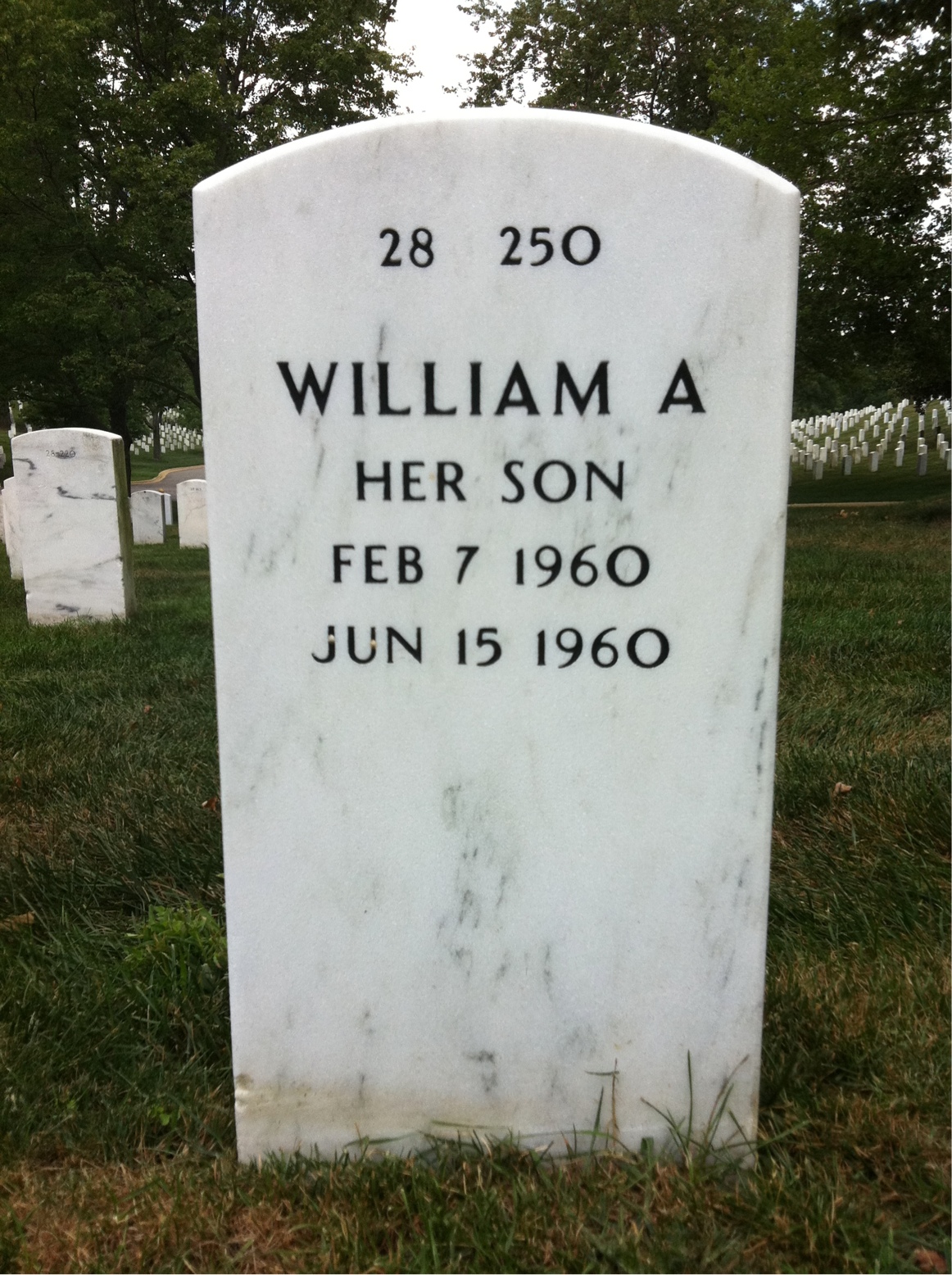 Back of headstone — Rita Harris