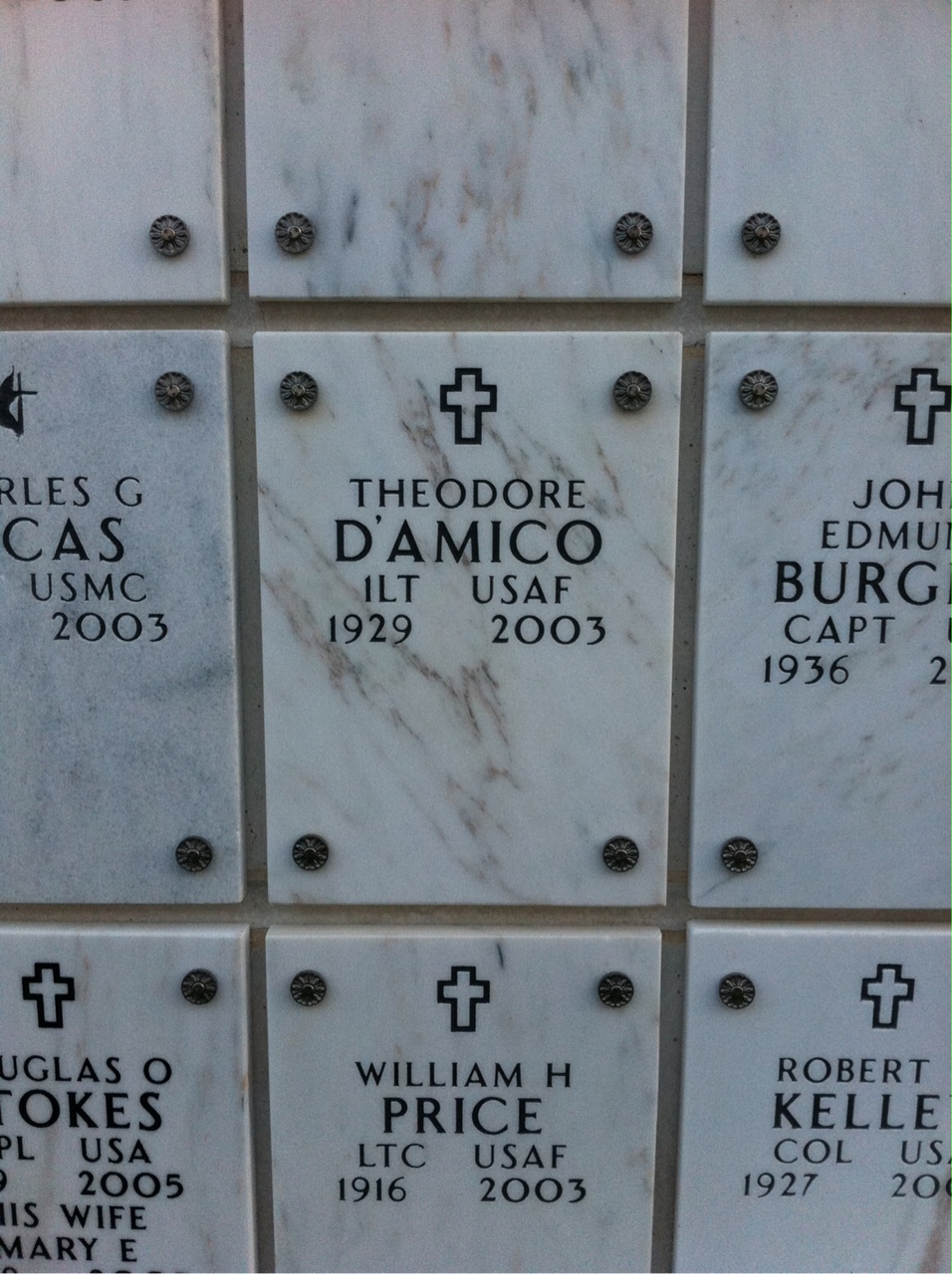Theodore D'Amico