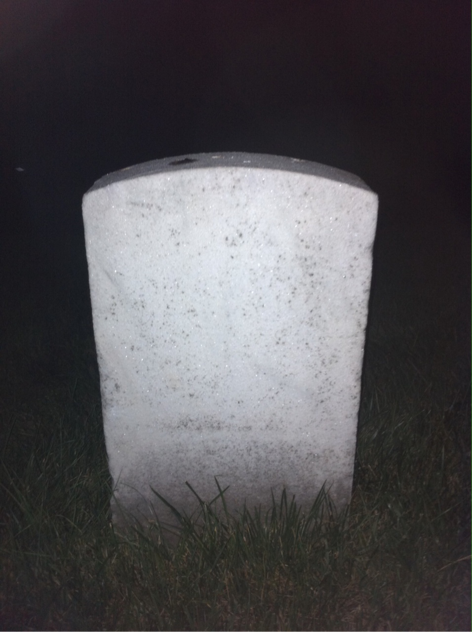 Back of headstone — George Arnold