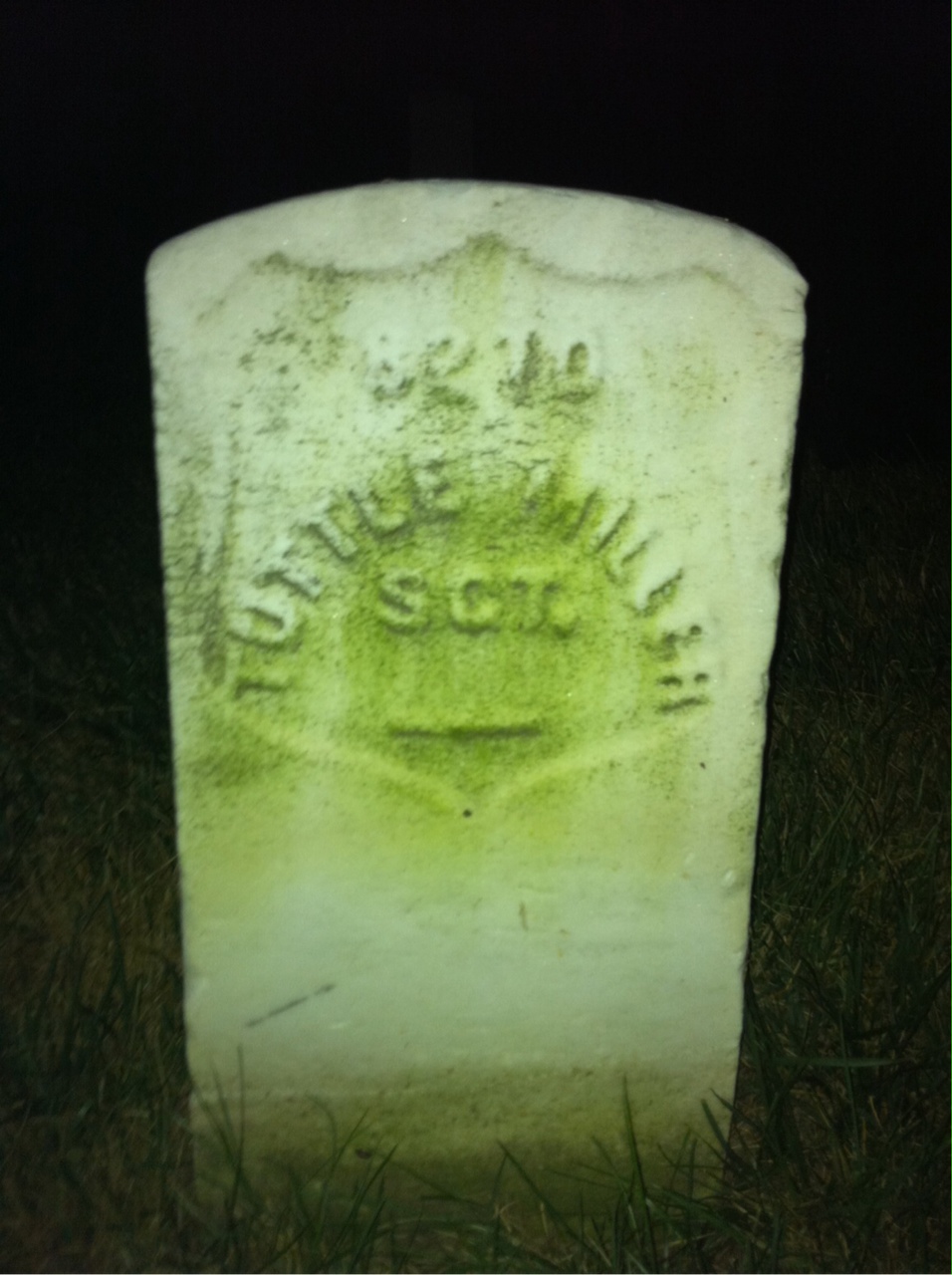 Tuttle Miller