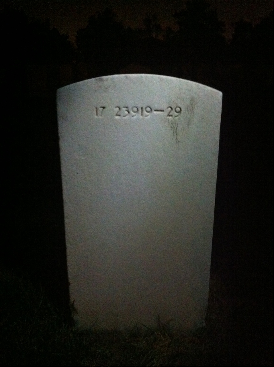 Back of headstone — William Todd Patton
