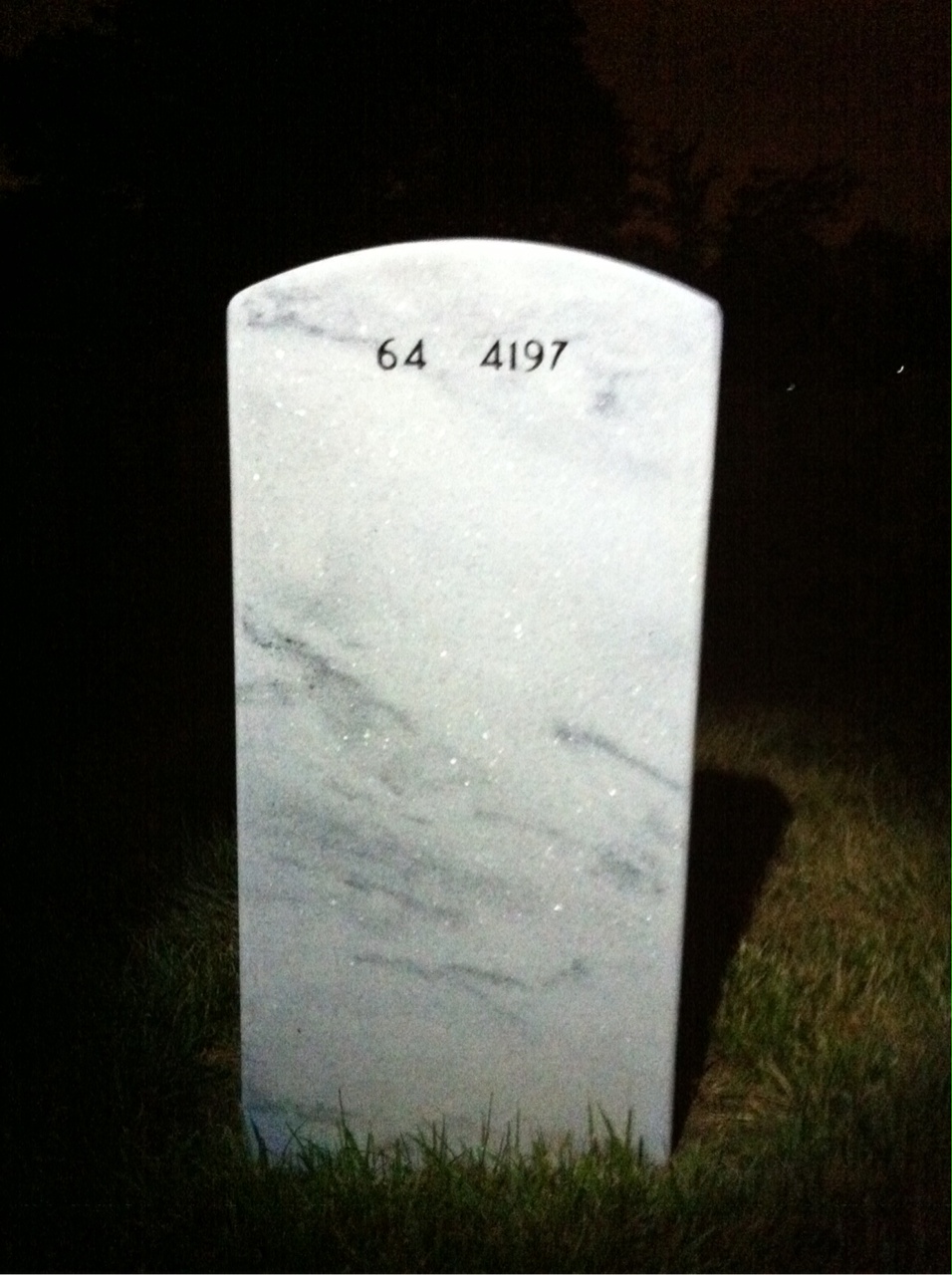 Back of headstone — Albert Ries