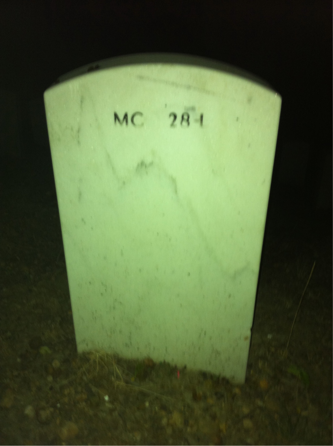 Back of headstone — Albert Steelman