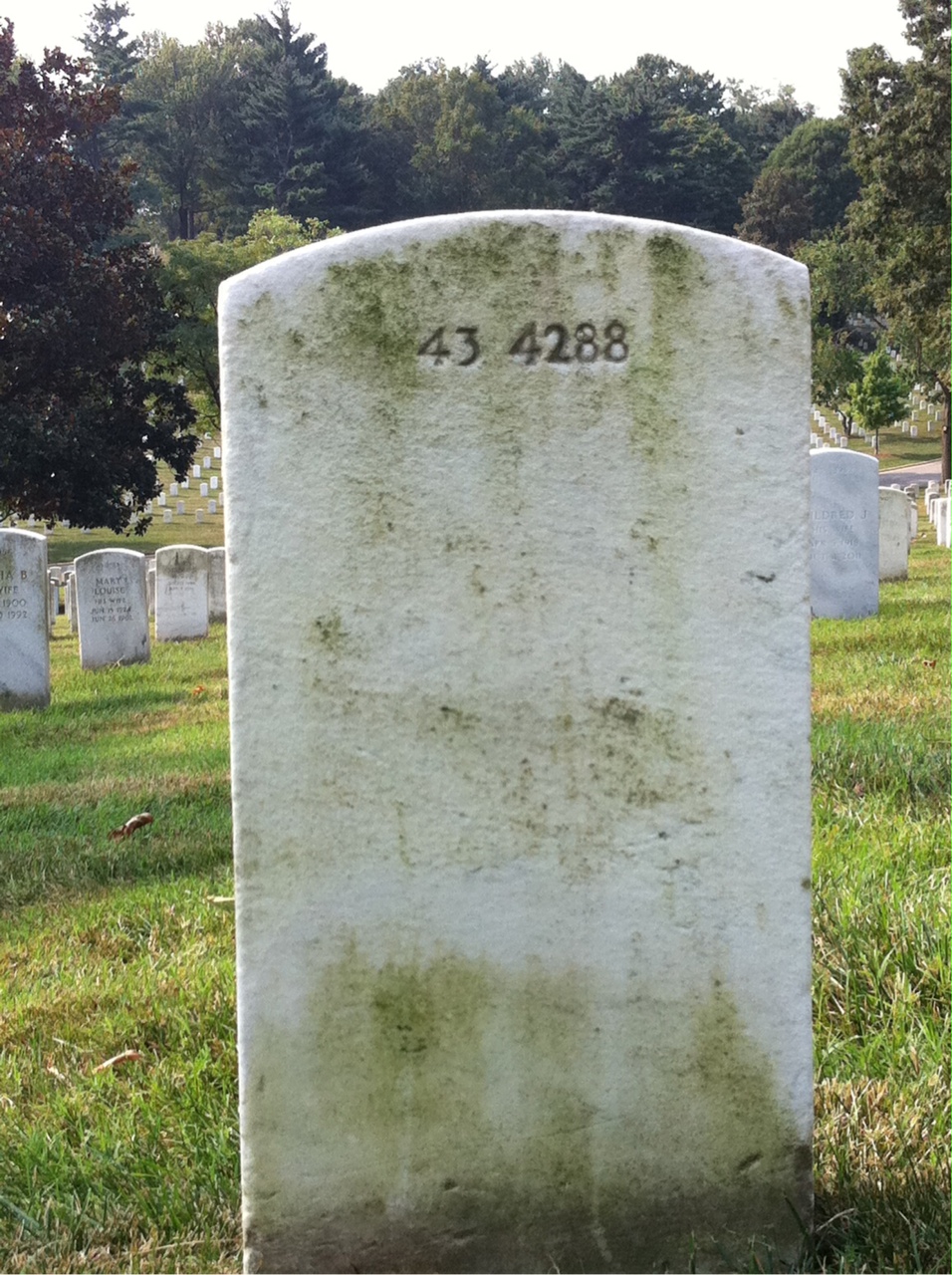 Back of headstone — William R Gordon