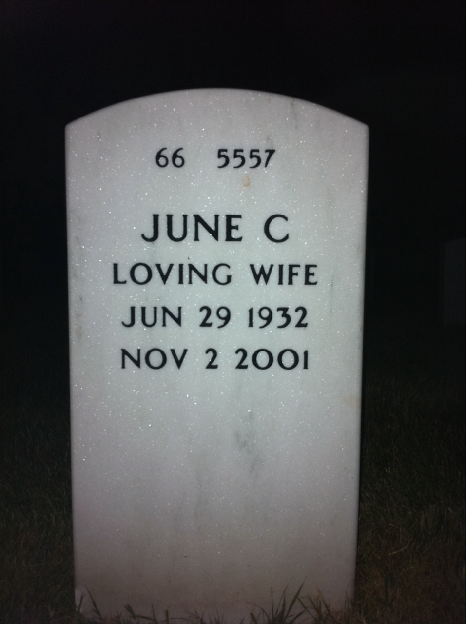 Back of headstone — Harry Elkin