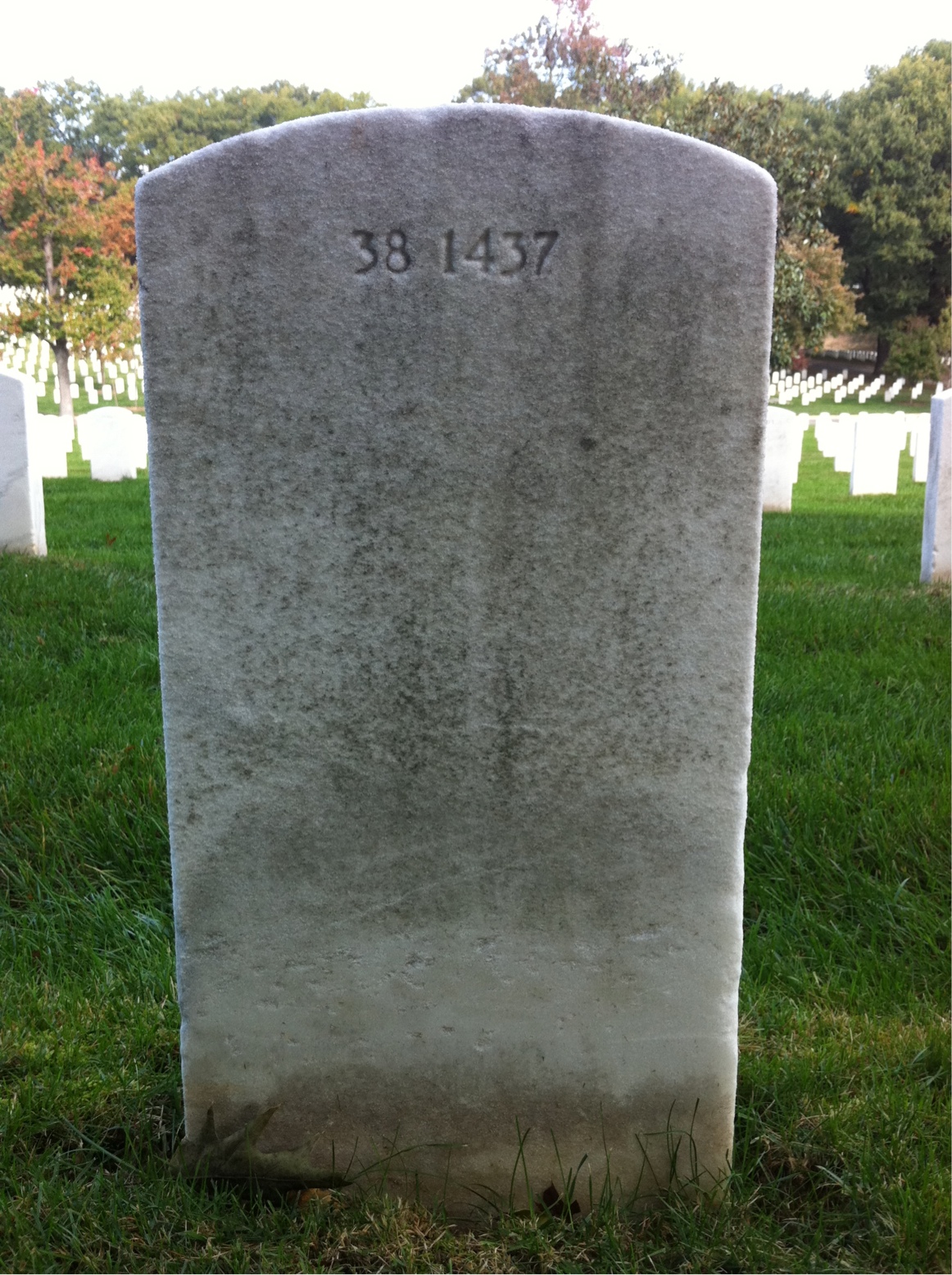 Back of headstone — Stephen Miller
