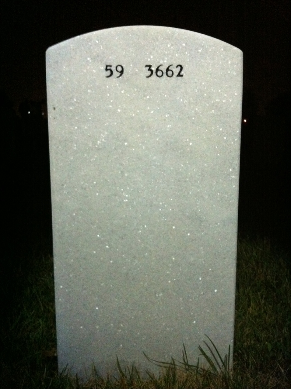 Back of headstone — Ryan Means