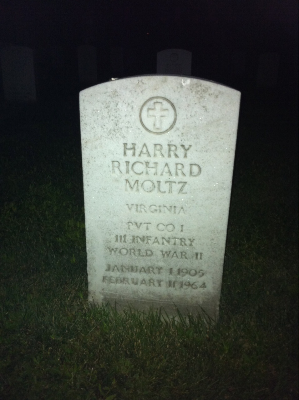 Harry Moltz