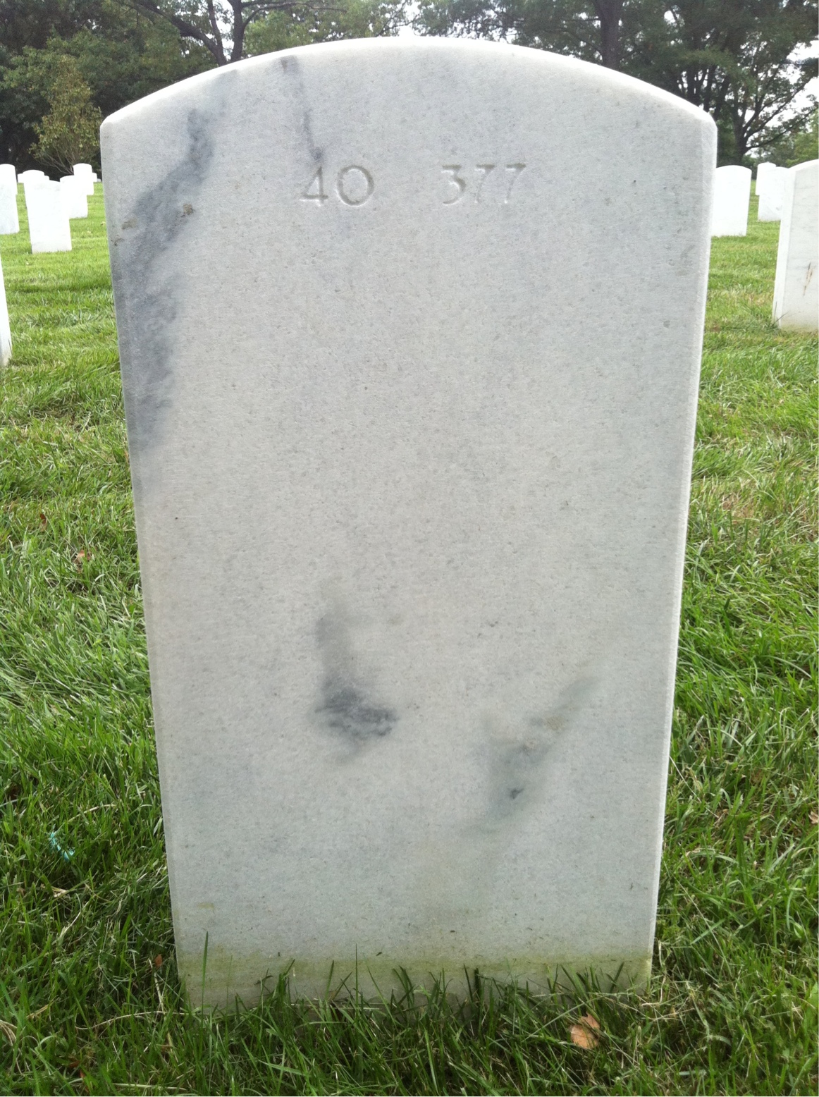 Back of headstone — Joel Williamson
