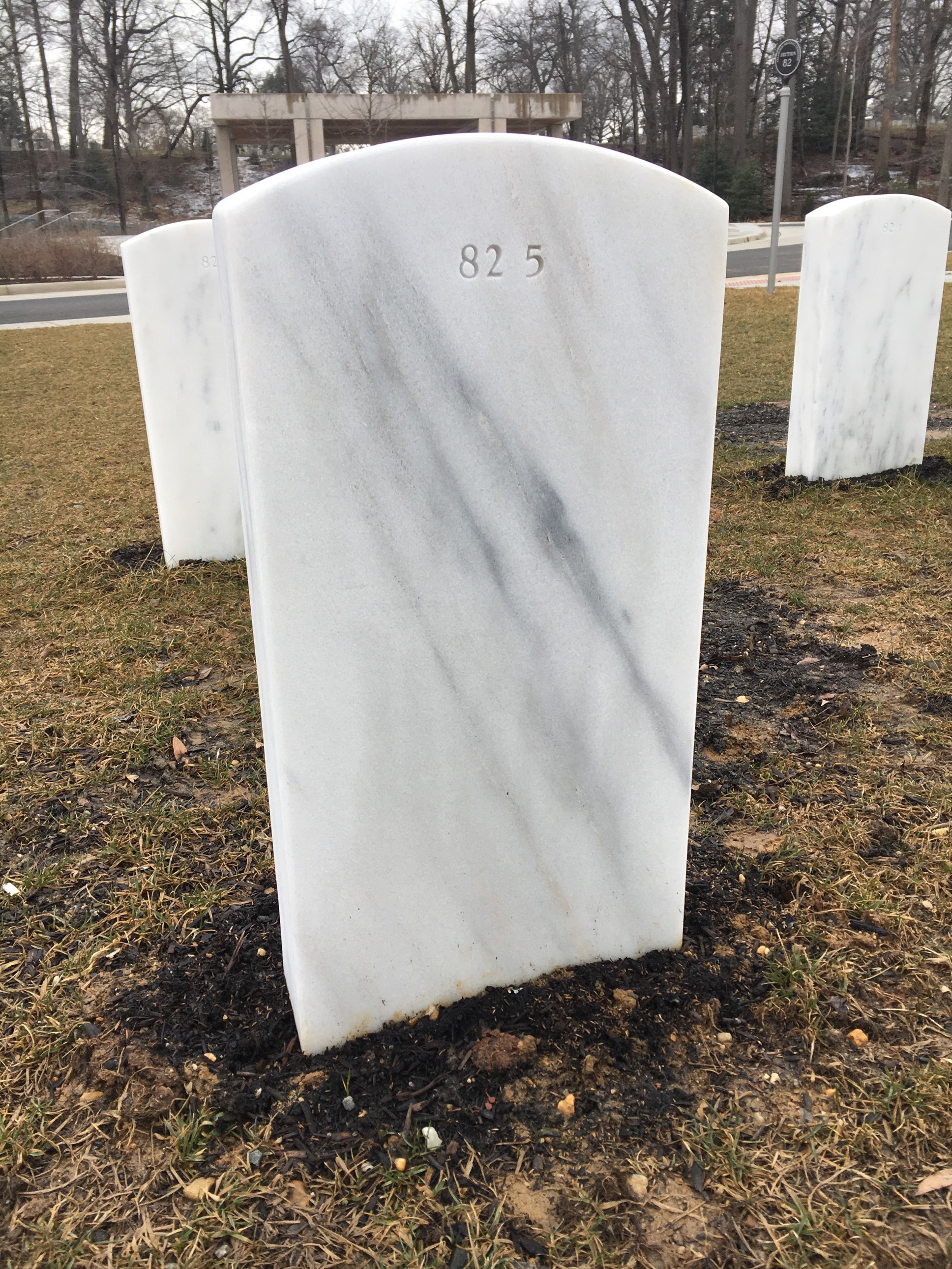 Back of headstone — Thomas Richard Williams