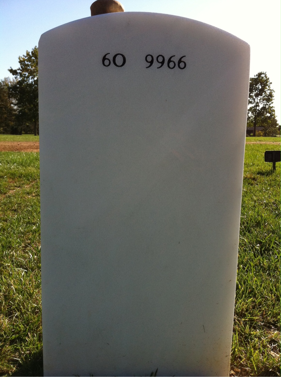 Back of headstone — Wayne T Haug