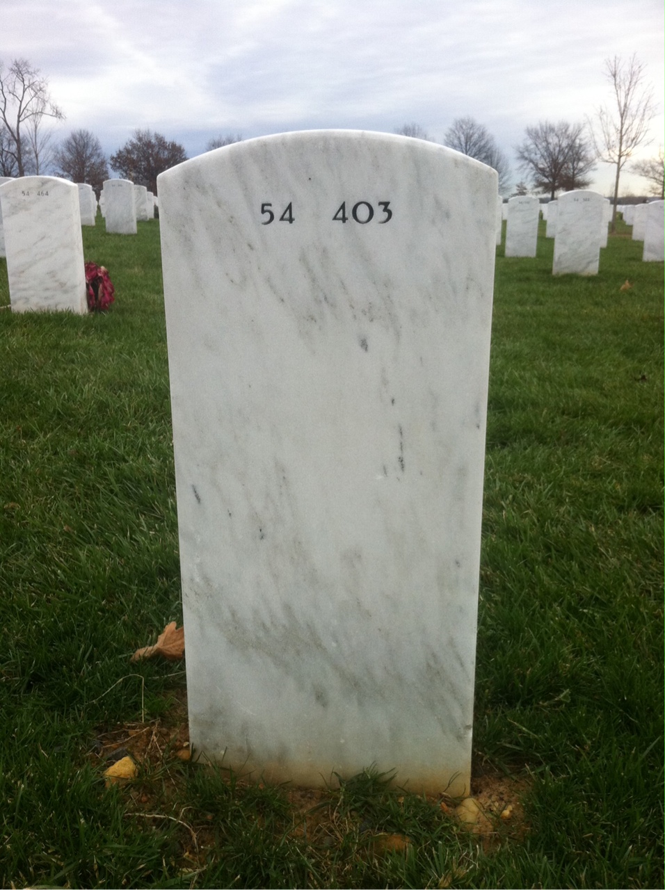 Back of headstone — James Mcguire