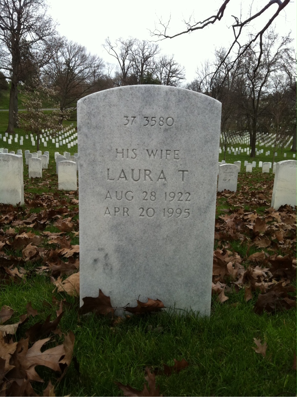Back of headstone — Laura Moser