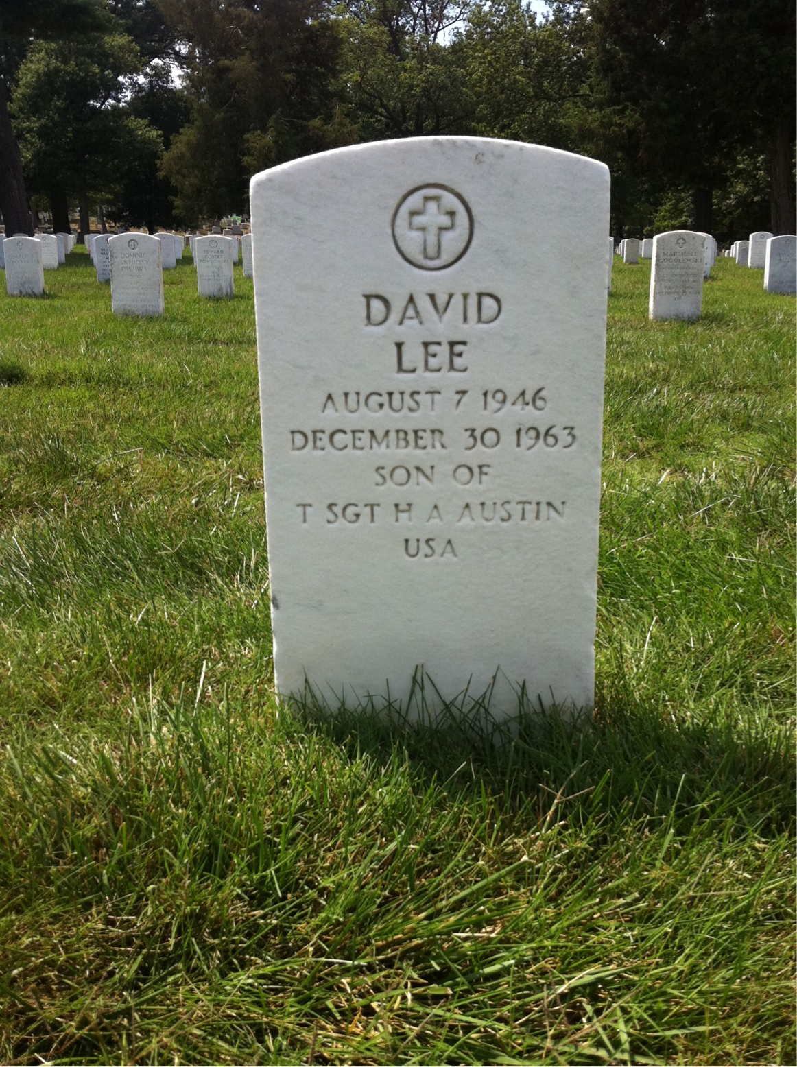 David Austin