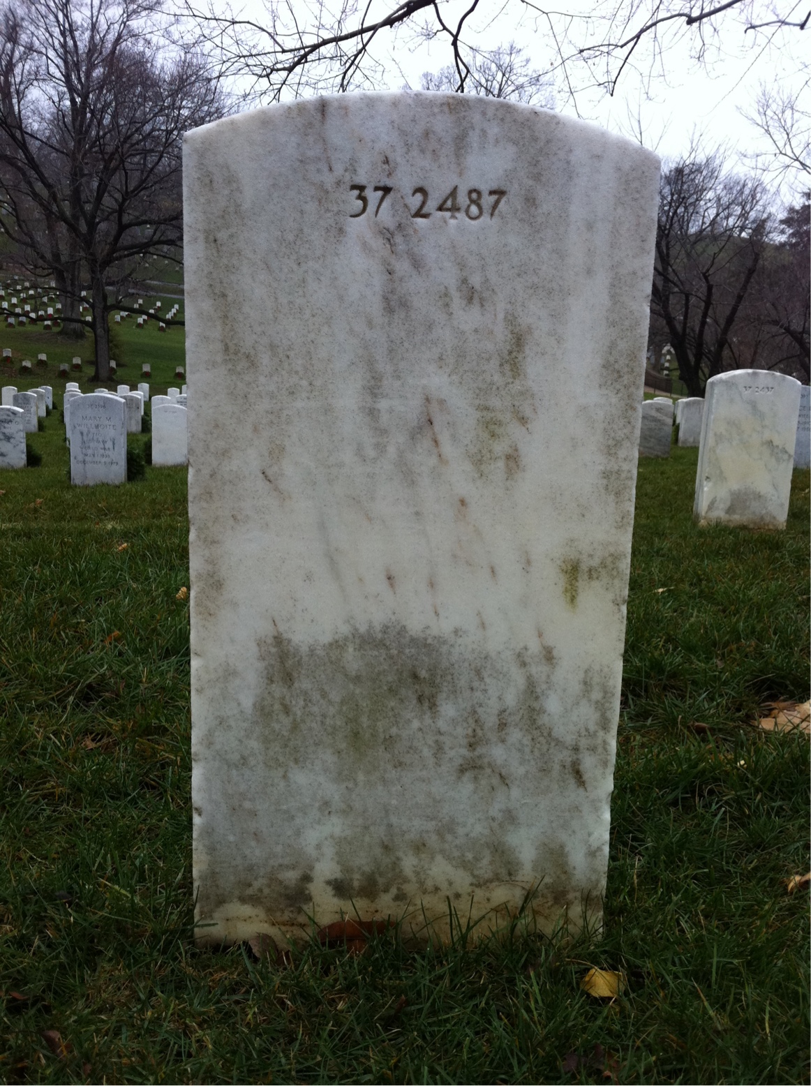 Back of headstone — Walter Louis King