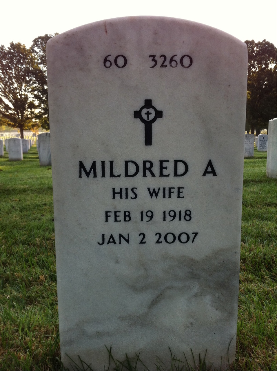 Back of headstone — Harold Demoody