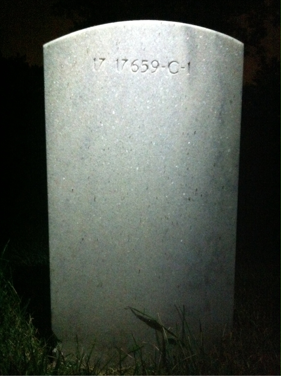 Back of headstone — John Allemang