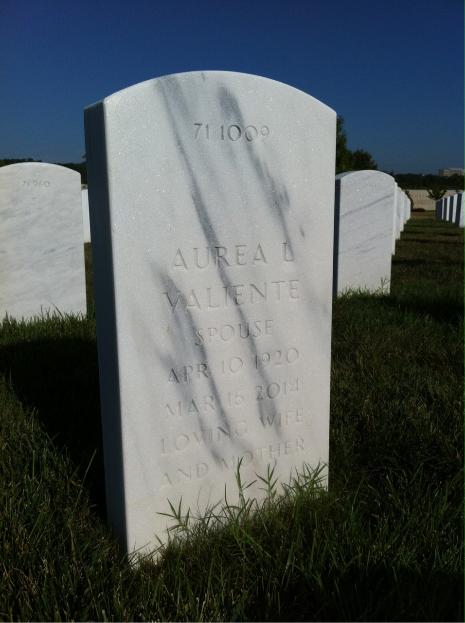 Back of headstone — Zoilo F Rivera