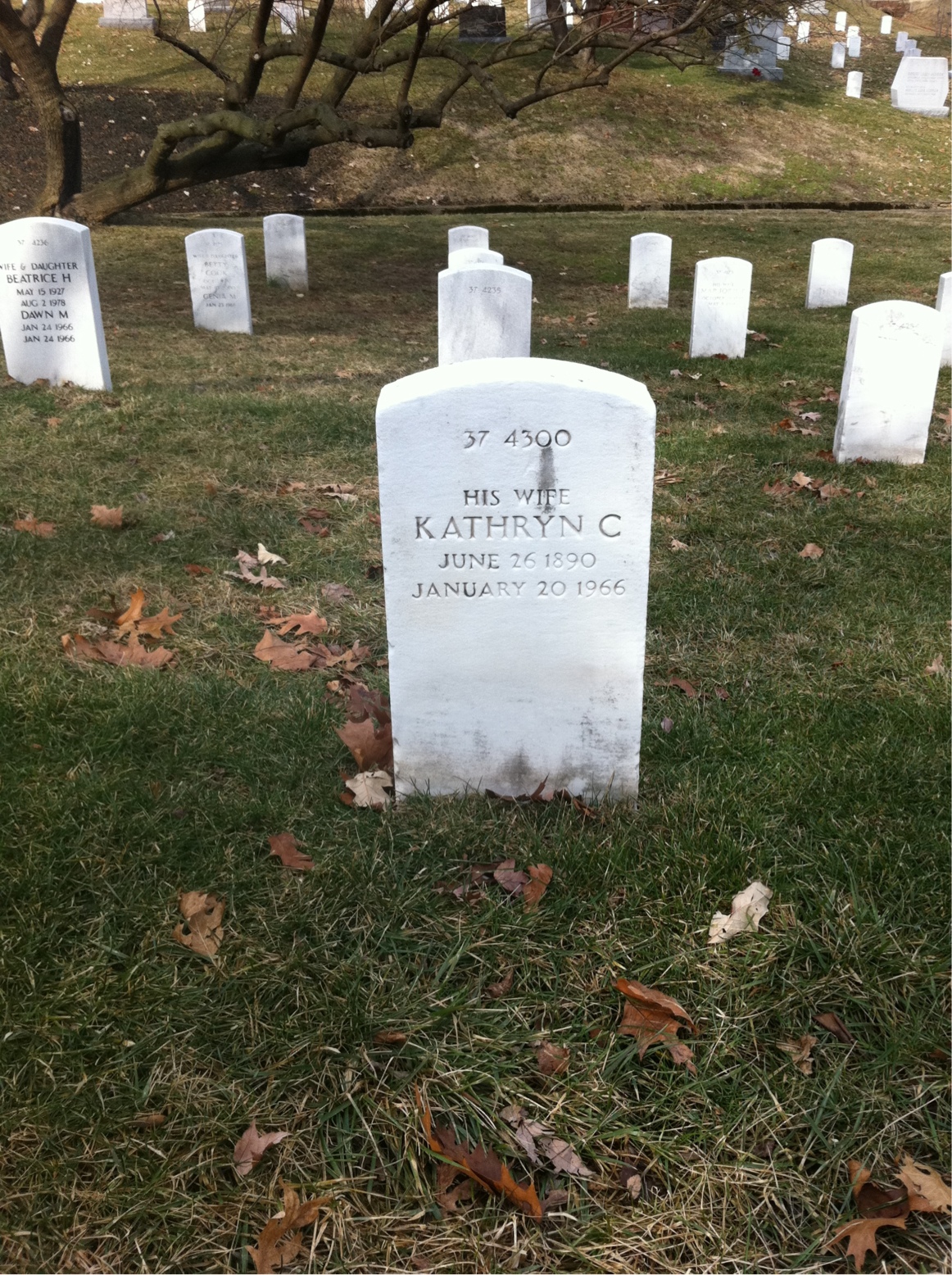Back of headstone — William A Davenport