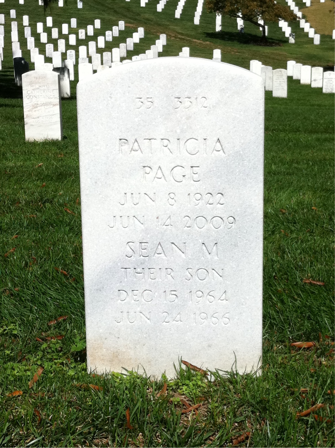 Back of headstone — Scott Terrill
