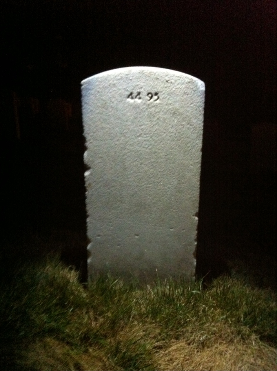 Back of headstone — Walter D Brown
