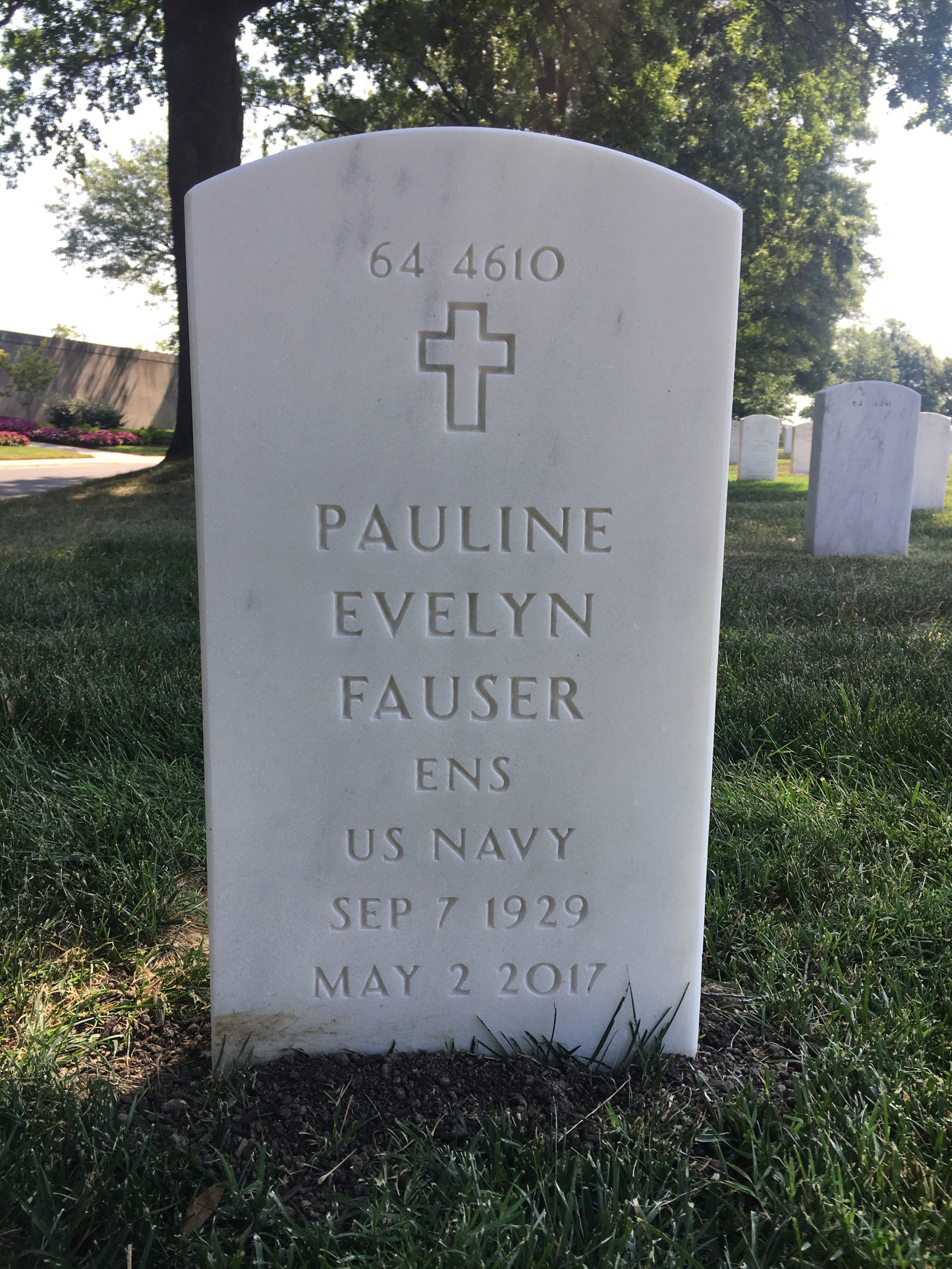 Back of headstone — David Fauser