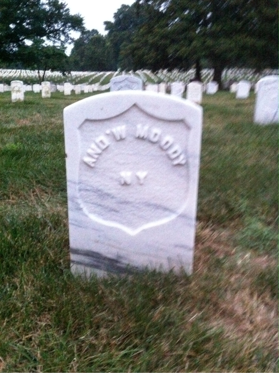Andrew Moody