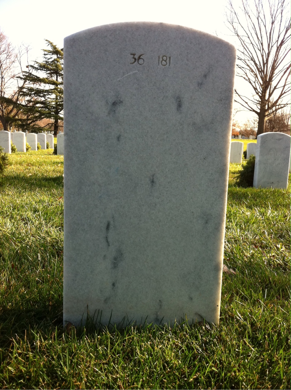 Back of headstone — James Cummings
