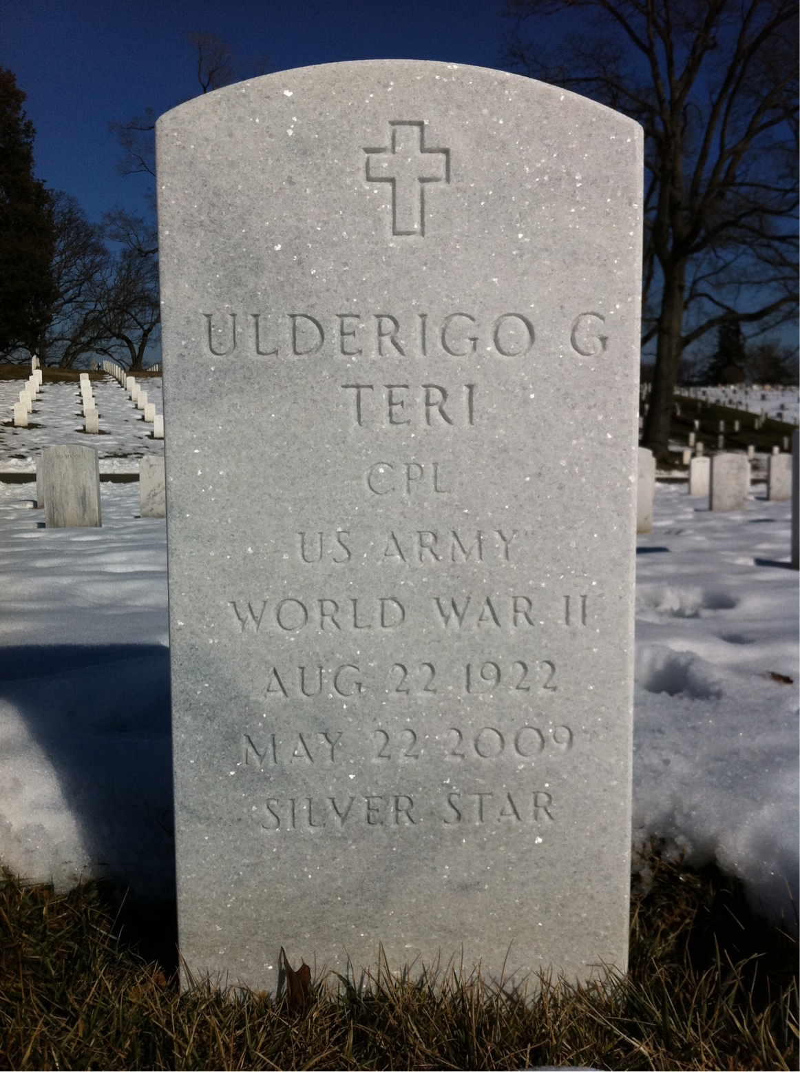Ulderigo Teri