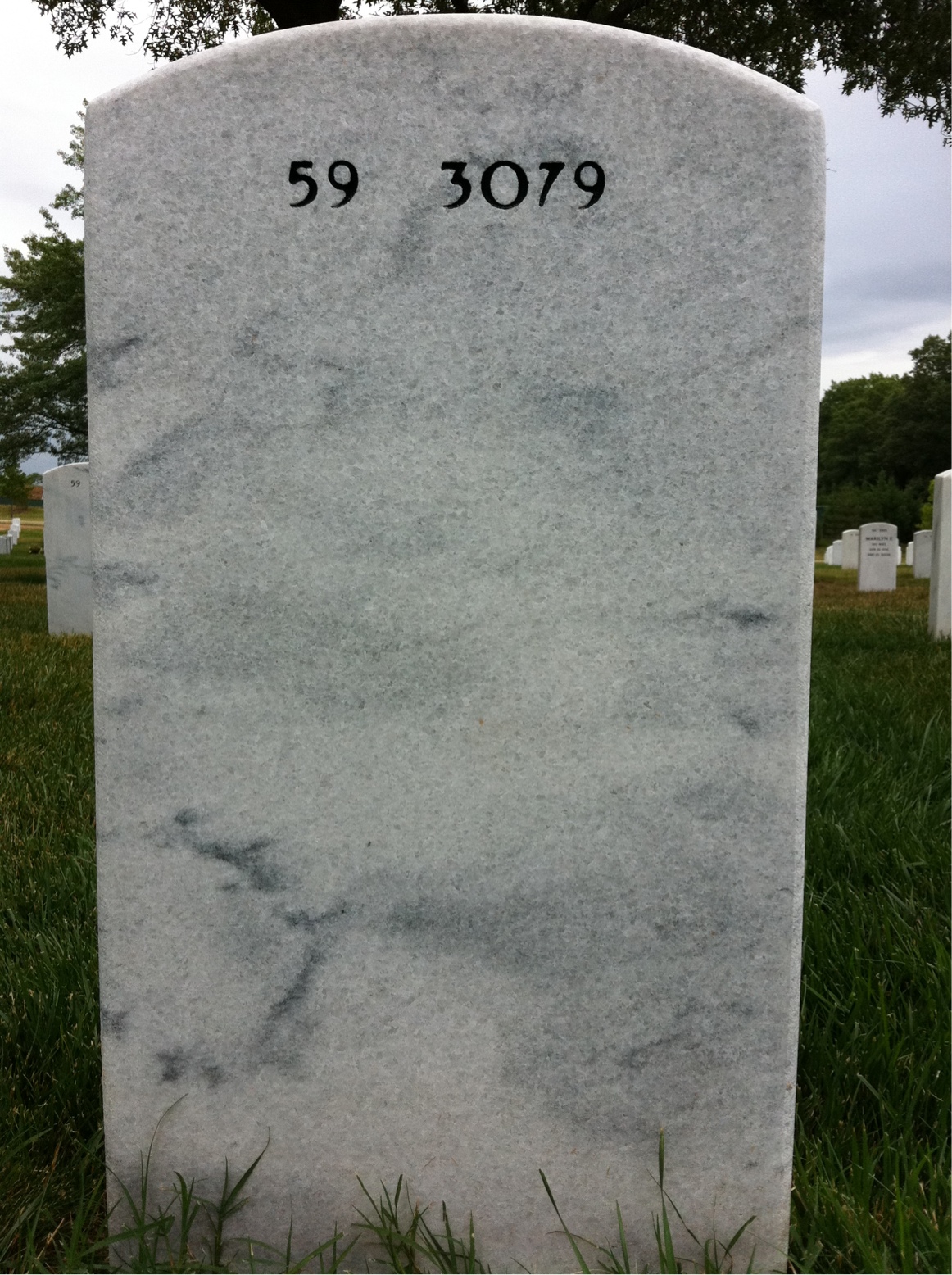 Back of headstone — Fred O'Nions