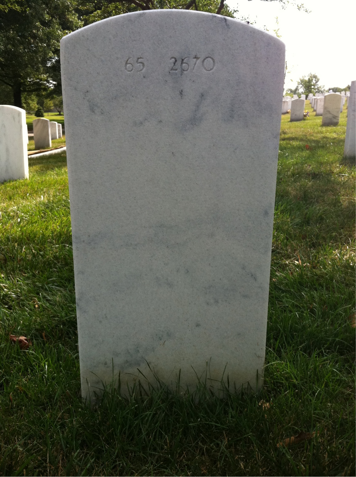 Back of headstone — Napoleon Hodges