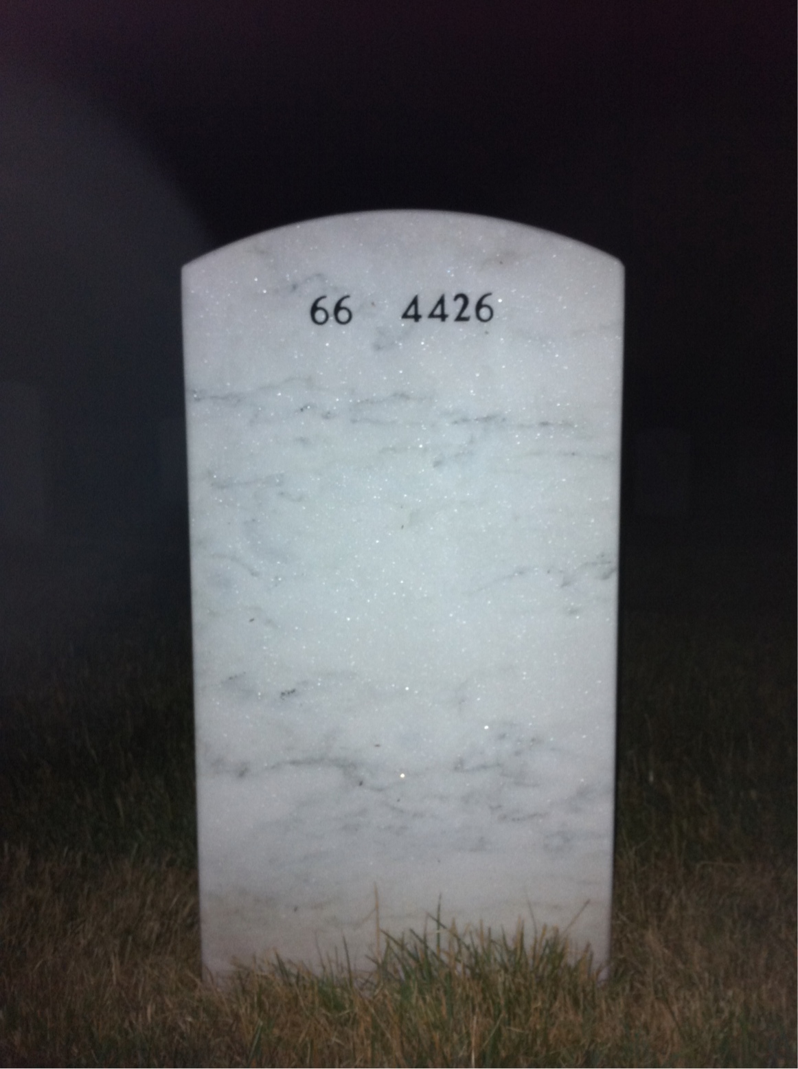 Back of headstone — Donald Finch